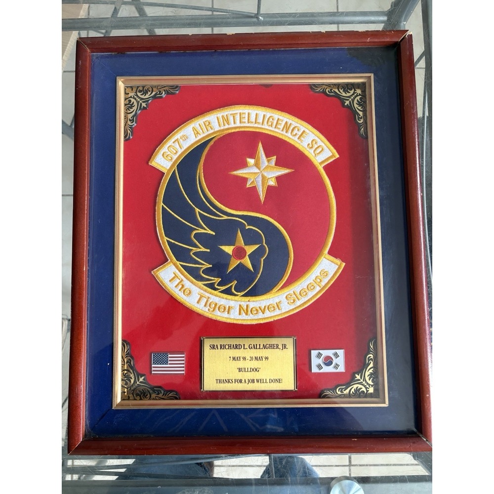 USAF 607th Air Intelligence Sq Shadow Box Plaque 607 AIS Korea Large Patch Frame